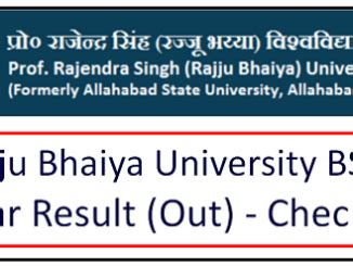 prsu prayagraj result 2022.